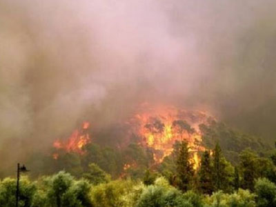 Πυρκαγιά και στην Τριχωνίδα